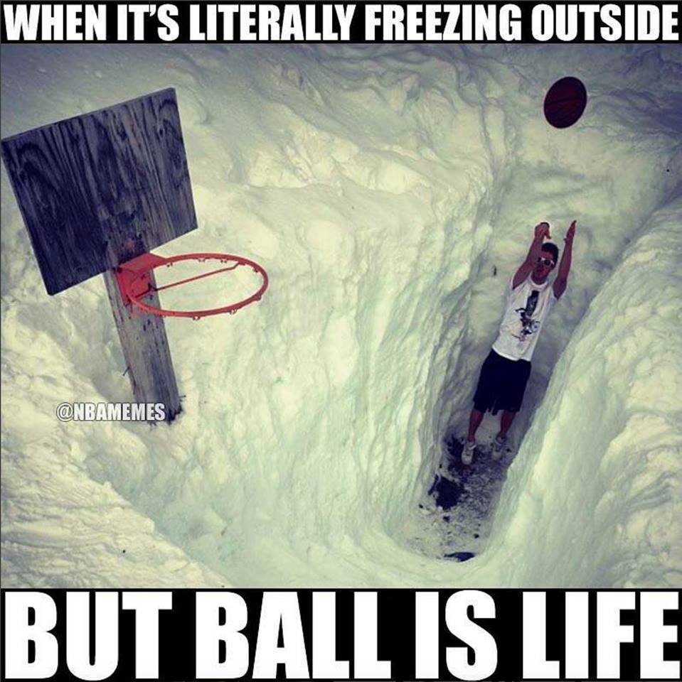 funny, funny memes, funny photos, funny pics, funny pictures, laughs, LOL, memes, today's funny photos, 1-10-18, snow ball is life meme