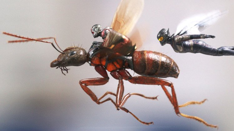 ant-man and the wasp 2018