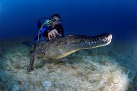 Underwater Exploration Photos