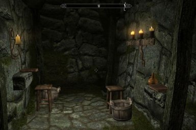 play skyrim on toilet