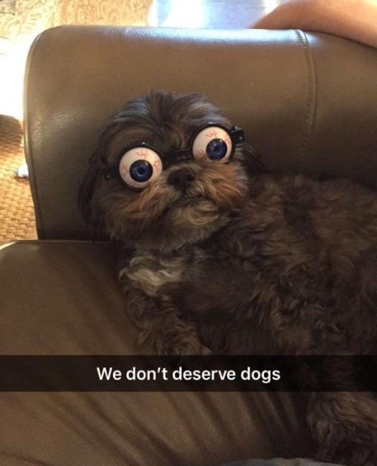 today's funny photos 8-7-18