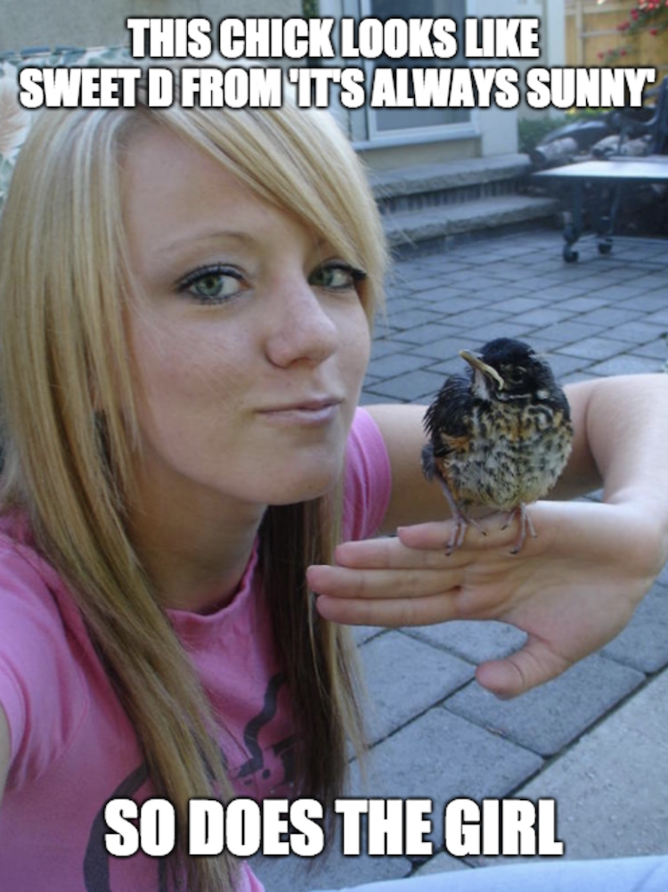 funny photos 9-14-18