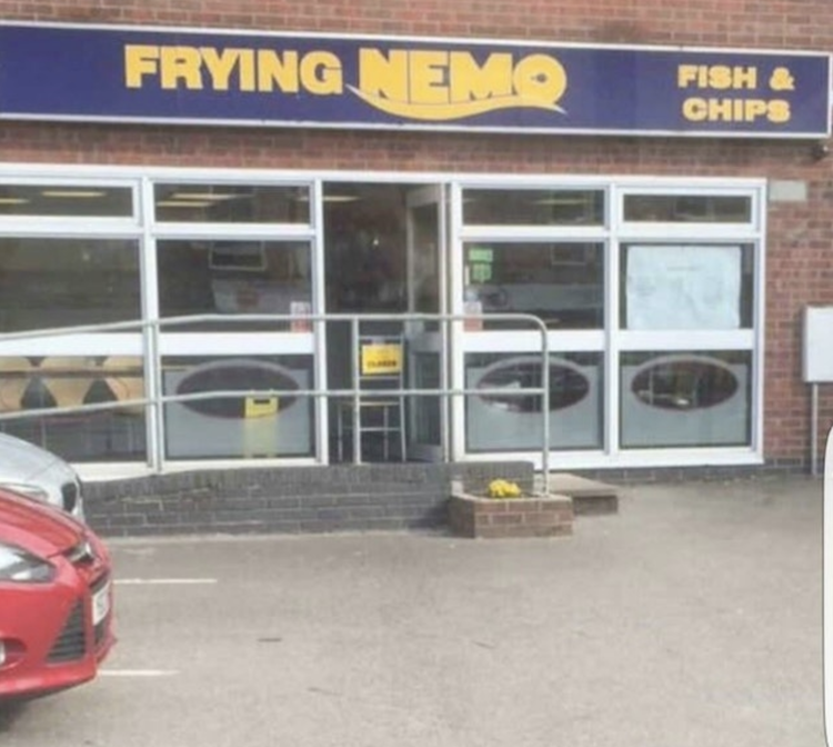 funny photos 9-24-18