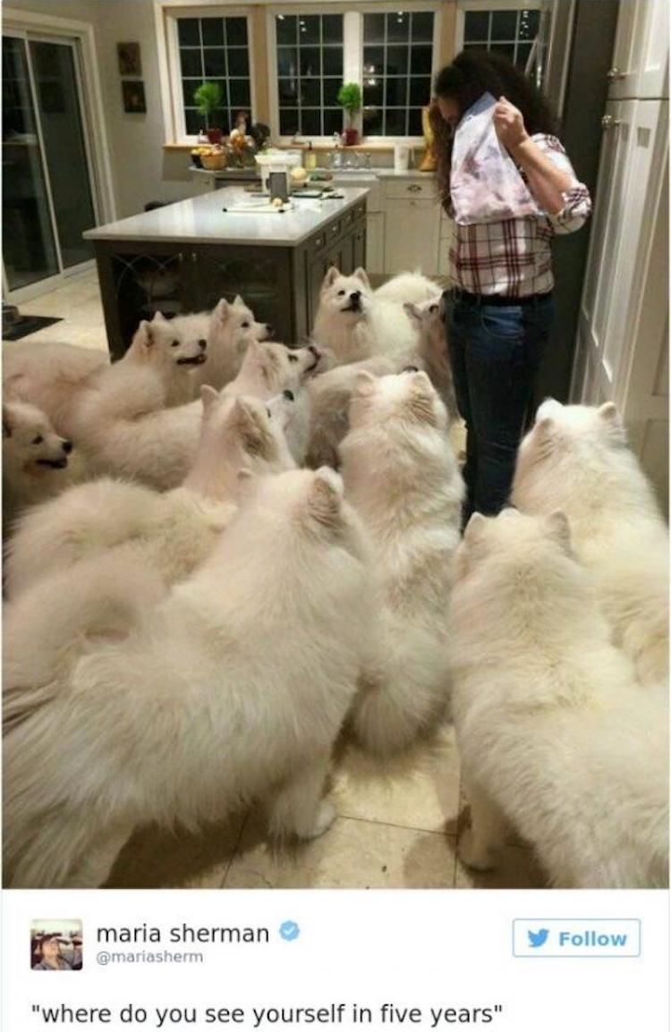 funny photos 9-24-18