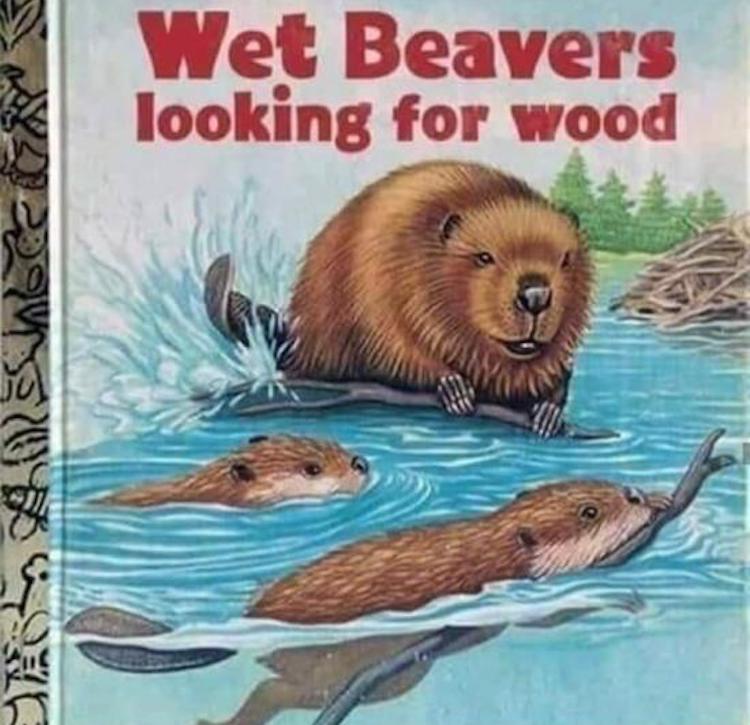 funny photos 9-10-18