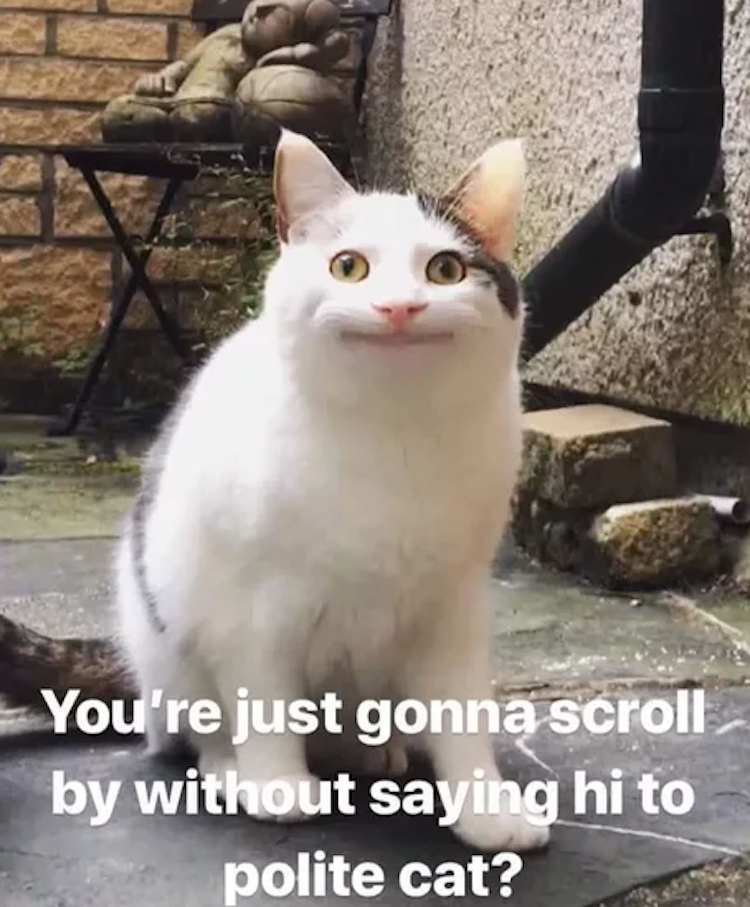 funny photos 9-10-18