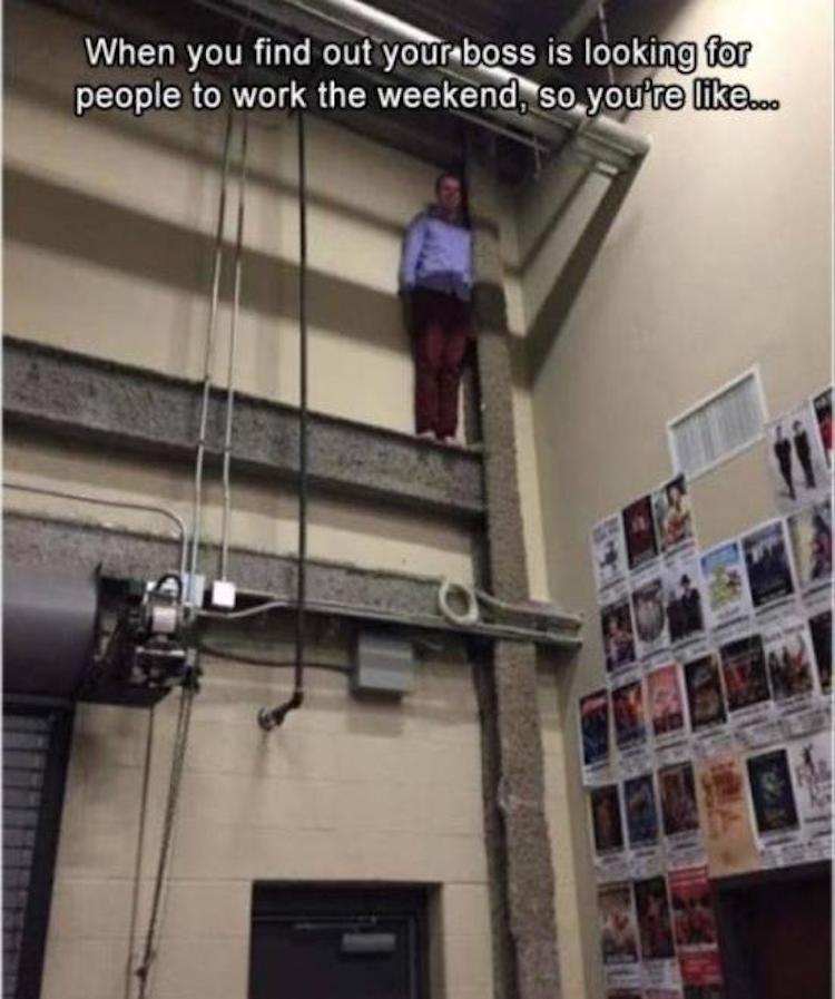 funny photos 10-19-18