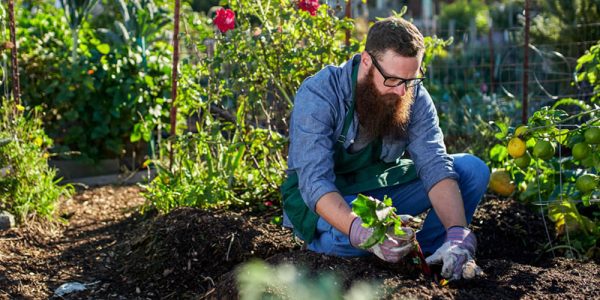 gardening