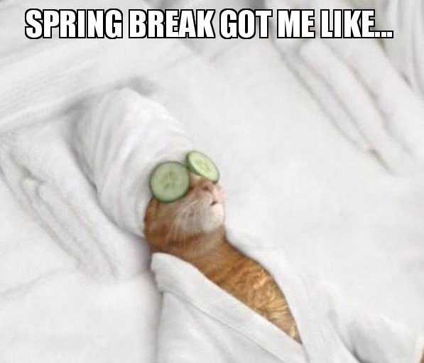 spring break