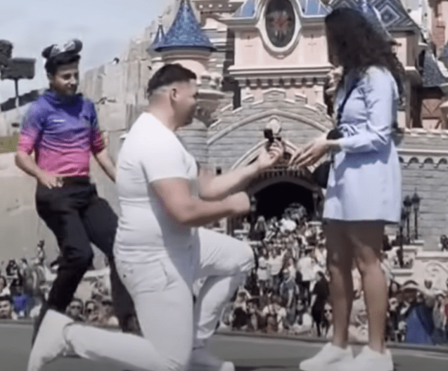 disney proposal