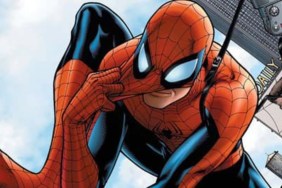 Rumor: Spider-Man & Punisher to Team-up Against the Hulk in Brand New Day