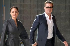 Brad Pitt Won’t Let Go of Winery That Easily, Says ‘Source'