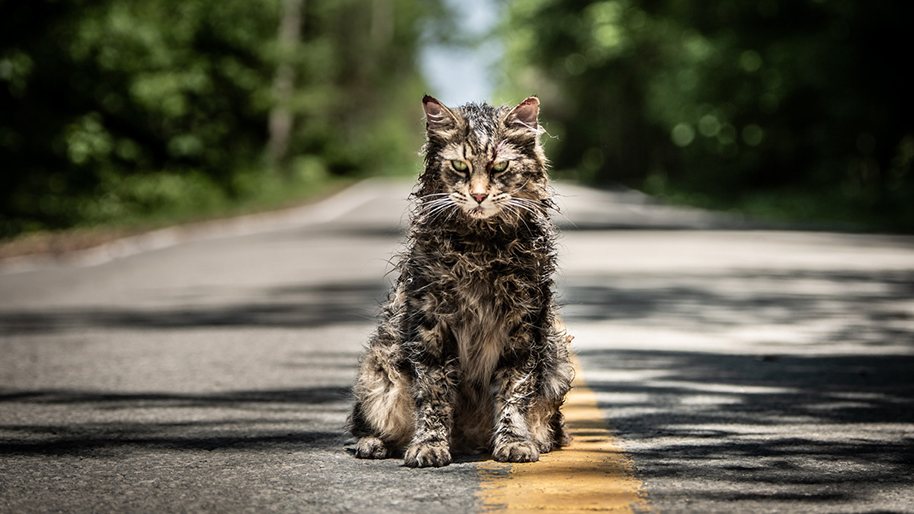 'Pet Sematary'