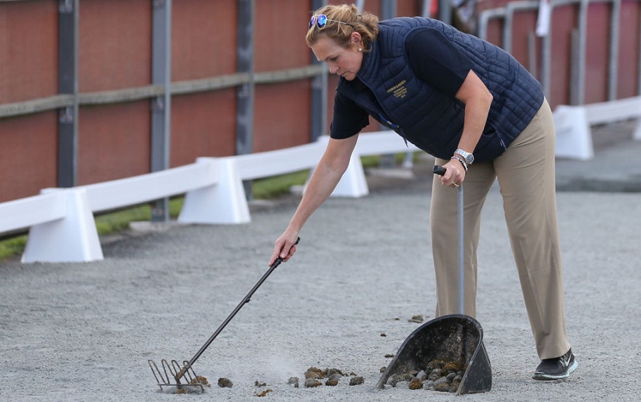 They're selling horse poop for $200 per nugget.