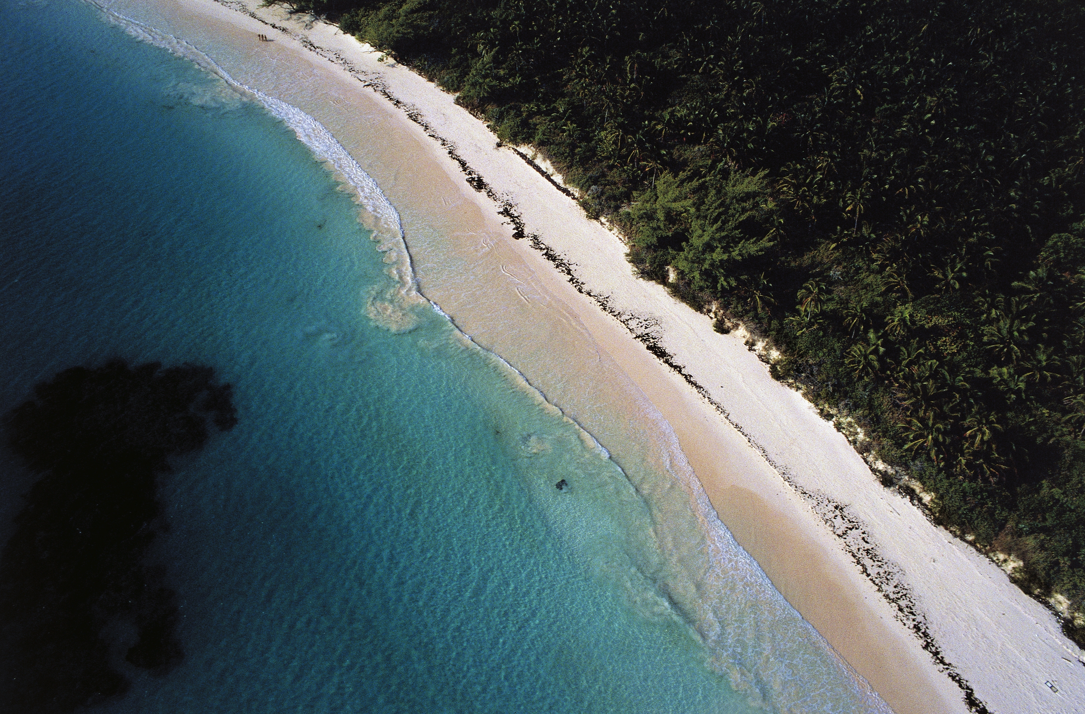 Pink Sand Beach: Bahamas