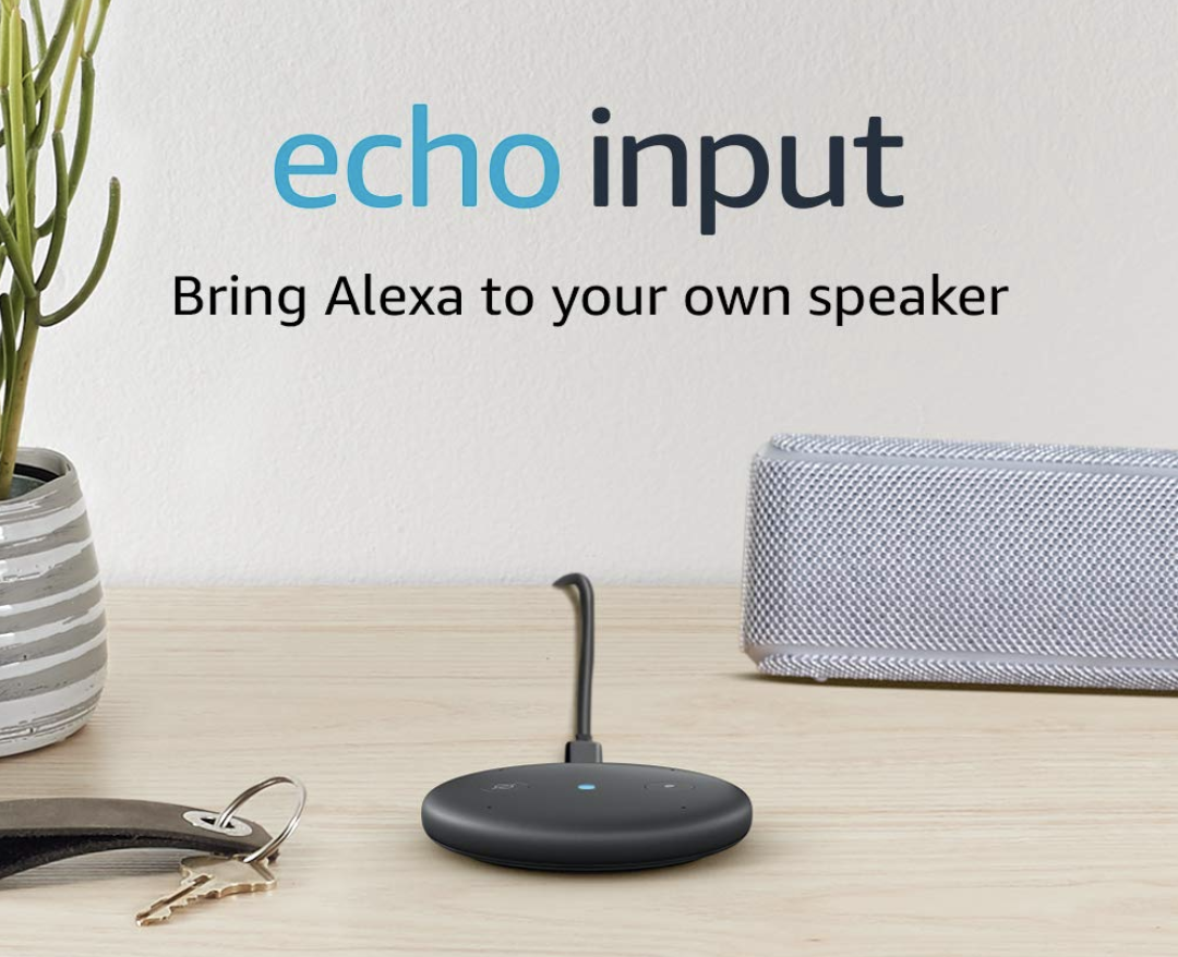 Echo Input