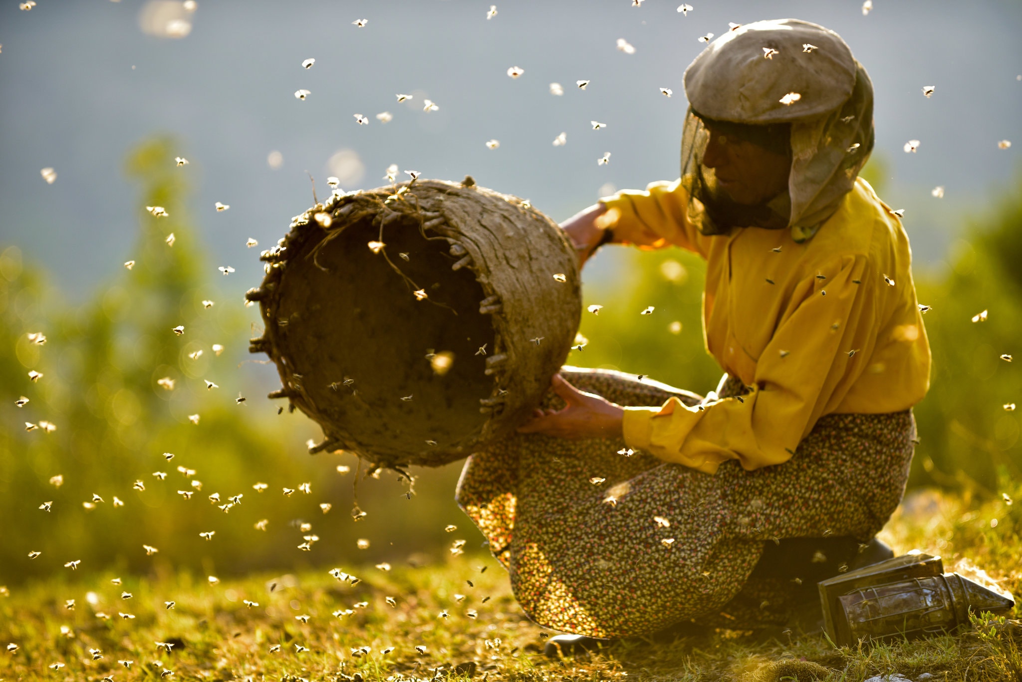 3. ‘Honeyland’