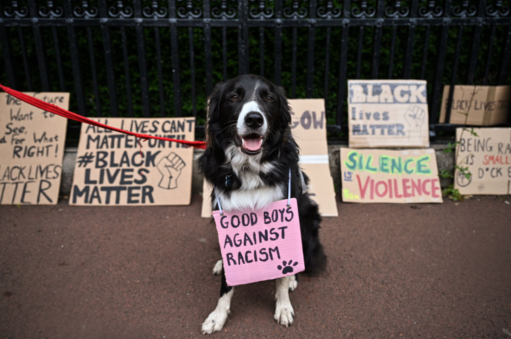 BLM Protest Signs #27