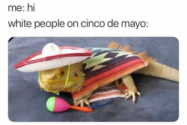 Cinco De Mayo Memes #14