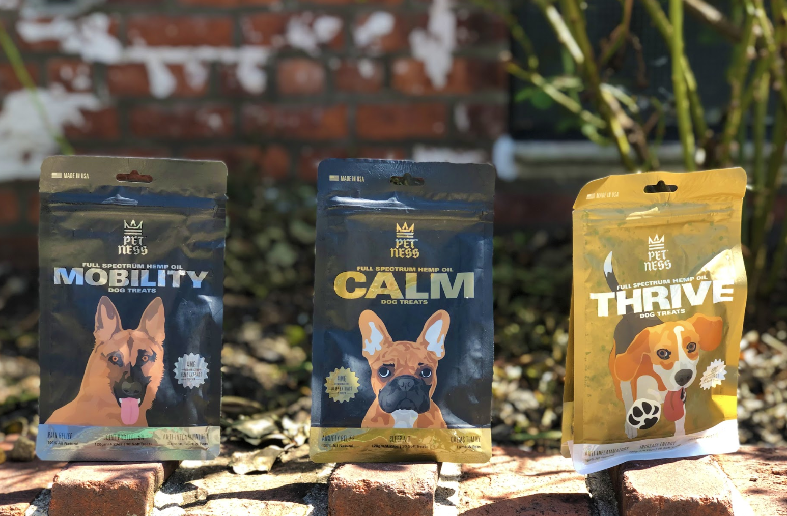 Pet-Ness CBD Dog Treats