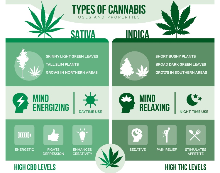 Sativa vs. Indica