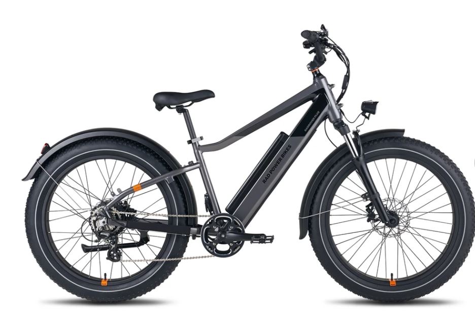 RadRover 6 Plus Electric Bike