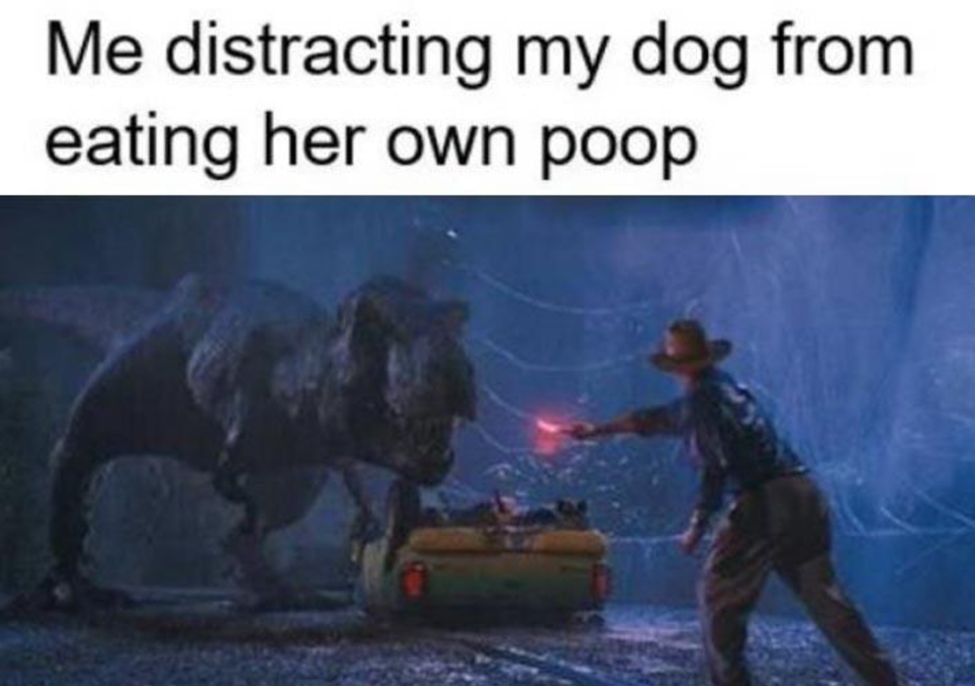 Memes of the Week 01-11-2021 #3