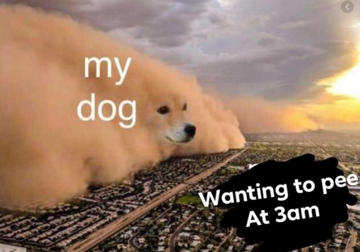 Memes of the Week 10-19-2020 #26