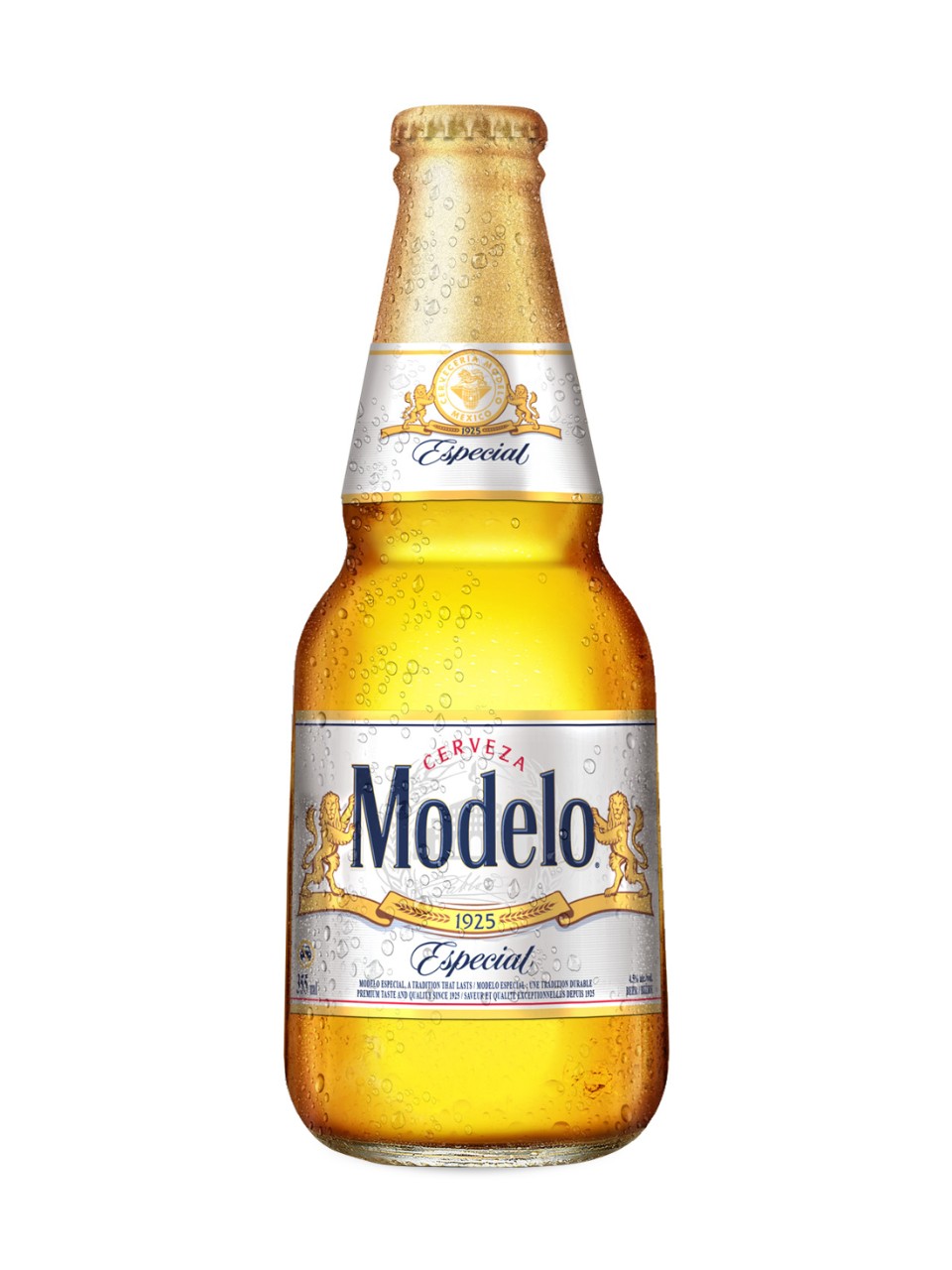 3. Modelo Especial 