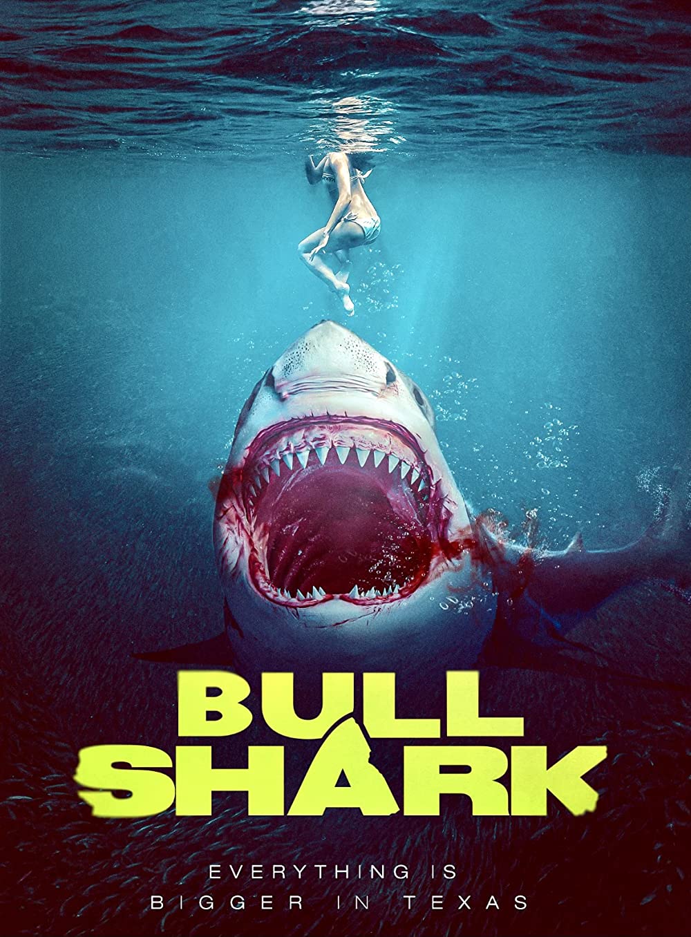 'Bull Shark'