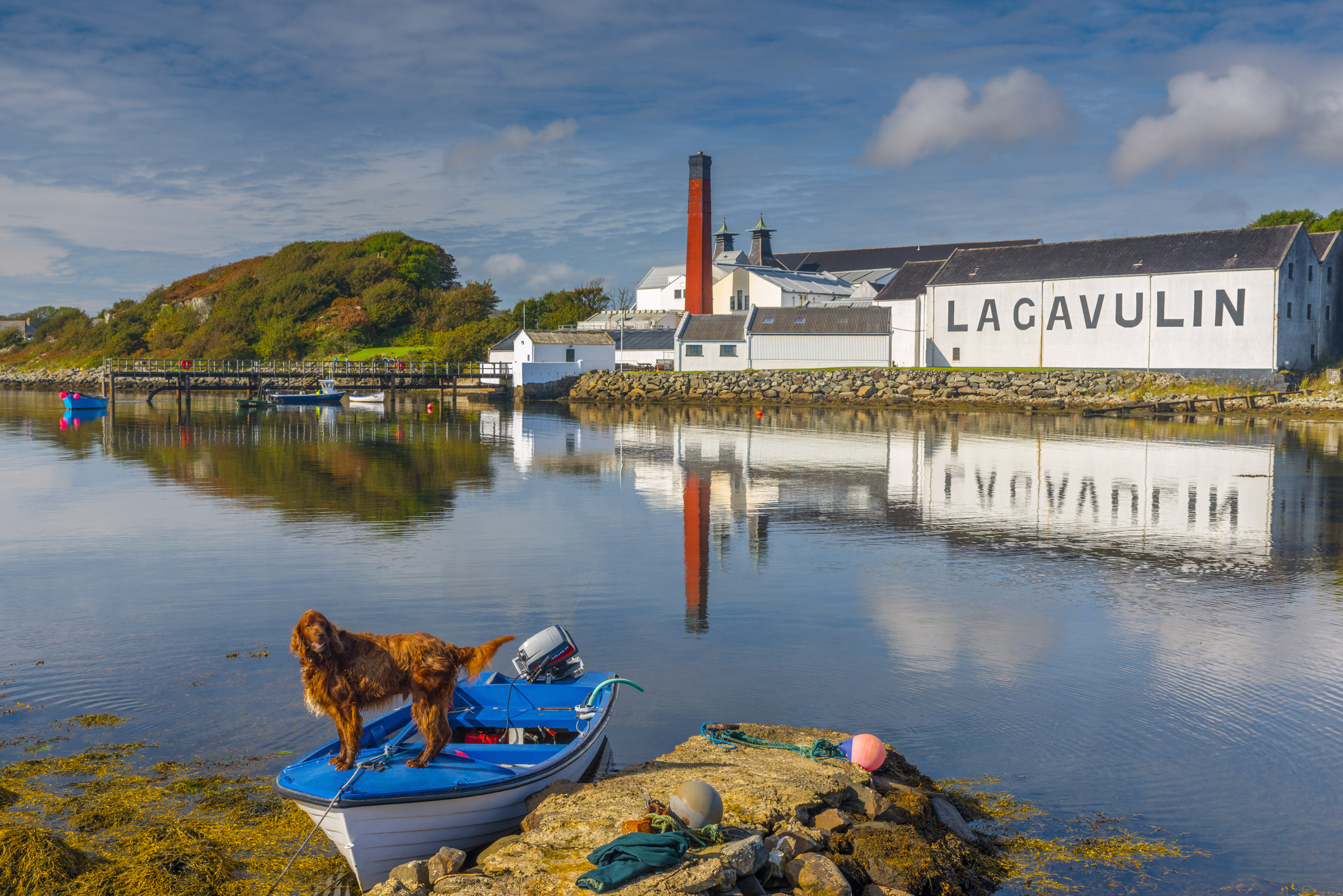 Islay is where the magic happens.