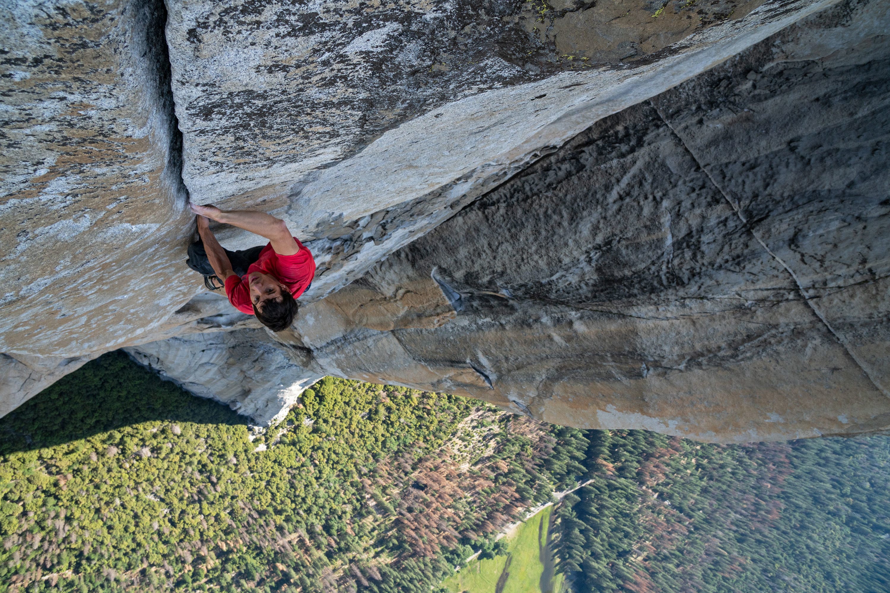 7. 'Free Solo'