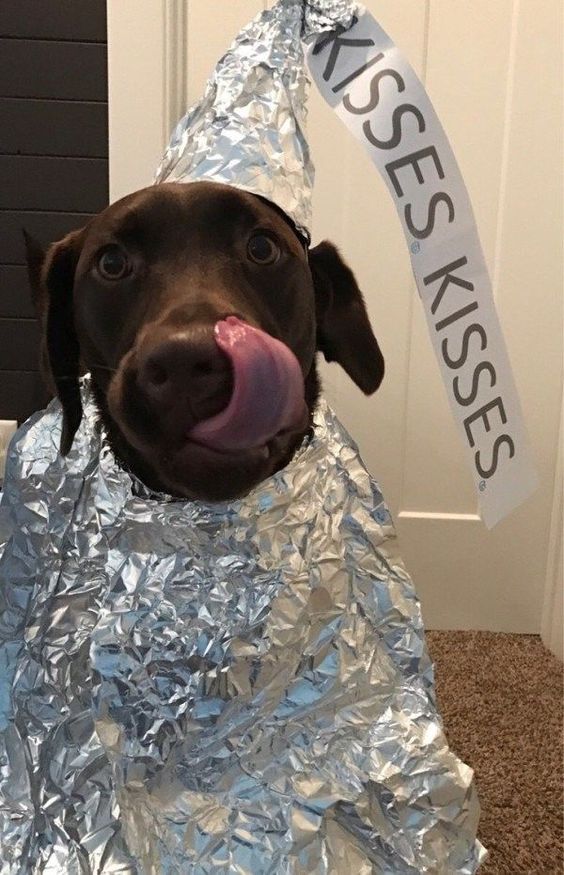 Hershey's Kiss